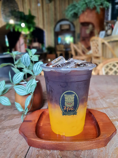 Motu Bangkok